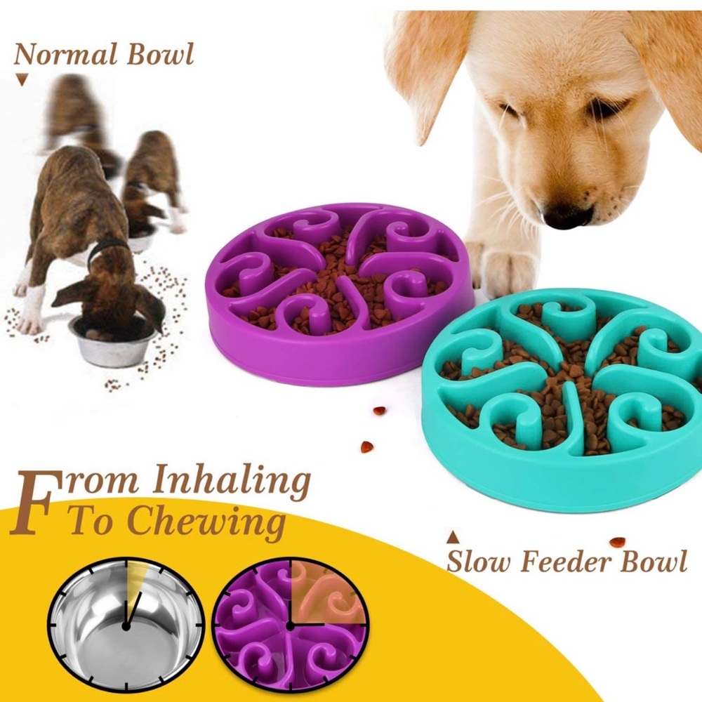 Pet Fun Feeder Dog Bowl Slow Feeder